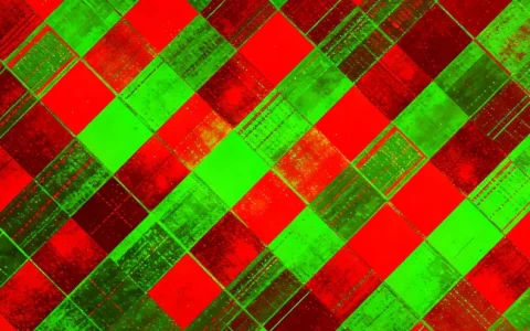 贵阳鼻咽癌基因检测合法机构