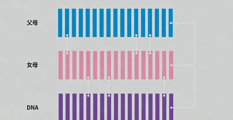 医生与患者沟通检测结果场景