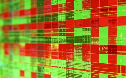 南京肺泡灌洗液mNGS基因检测机构地址在哪里