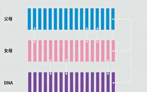 遵义前列腺癌基因检测去哪做2026年4家正规机构与地址
