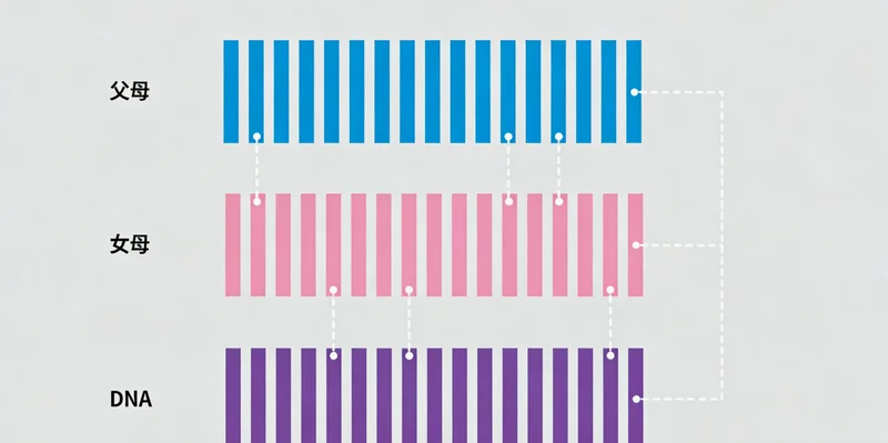 遵义中老年男性休闲生活，关注健康