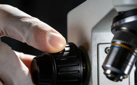 许昌侵袭性真菌感染基因检测公司国内排名