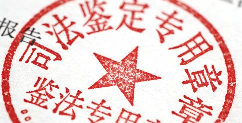 形象化展示DNA静态蓝图与RN