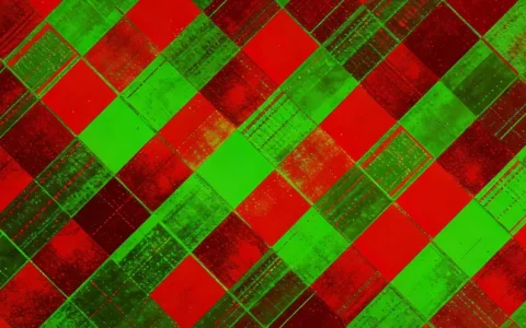 运城胰腺癌基因检测所地址