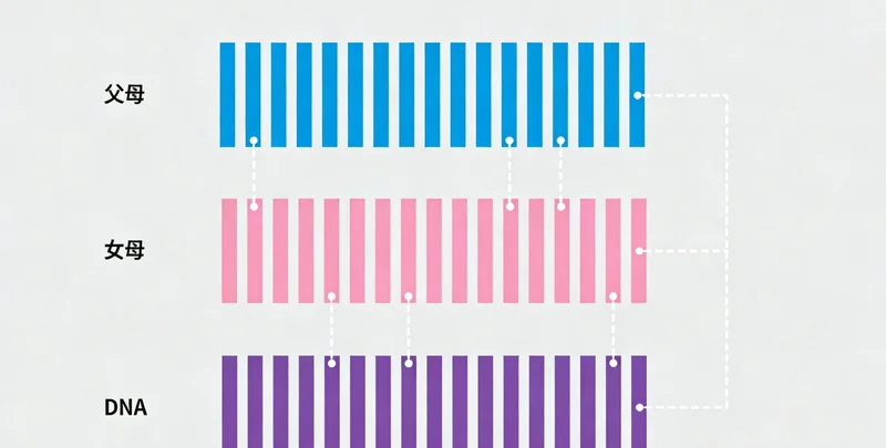肠道健康家庭管理方案示意图