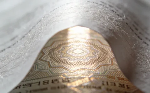 济宁呼吸道病毒Panel基因检测需要到哪里办理