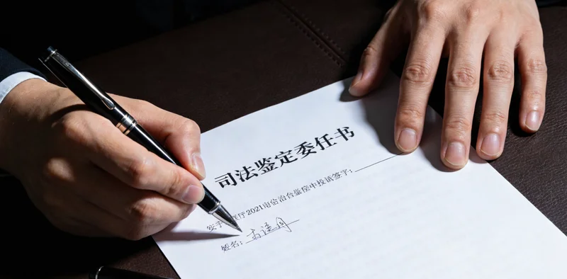 显微镜下形态各异的致病真菌，显