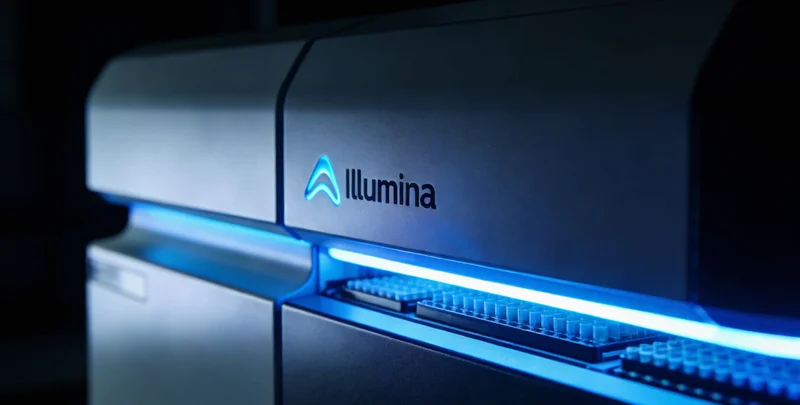 黄石家庭在公园里边散步边讨论健