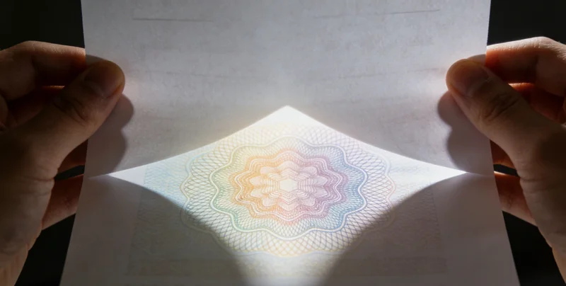 展示多种可能导致腹泻的细菌、病