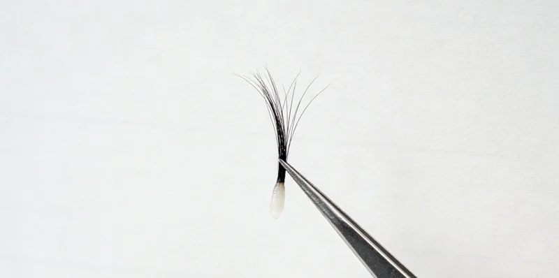 摆放丰富的蔬菜、水果、坚果和发