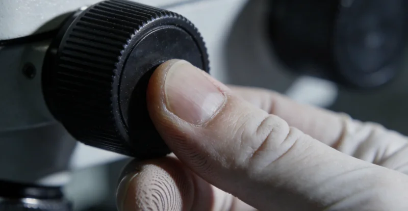 一份详细的基因检测报告,配有数