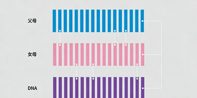 一对夫妇在诊室与医生沟通的温馨