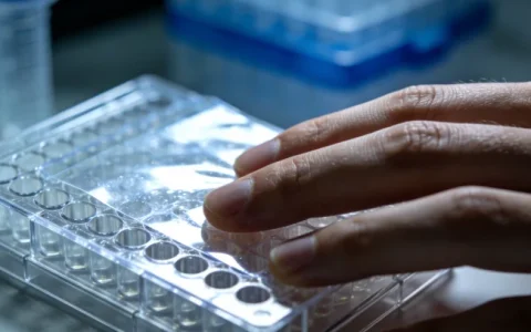 毕节衣原体基因检测机构精准查询：本地正规检测点地址一览