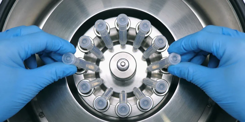 在田园风光中劳作的农民,提示特