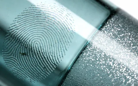 荆门肺孢子菌基因检测去哪里检测