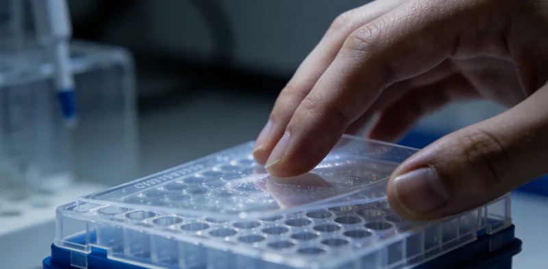 一位中山中年男士在社区公园与家人散步，面露担忧神色