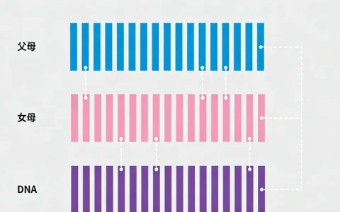 中山结核基因检测去哪做？靠谱检测机构与实验室名单（附地址）