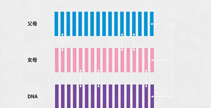 中山市景与医疗标志结合，体现城