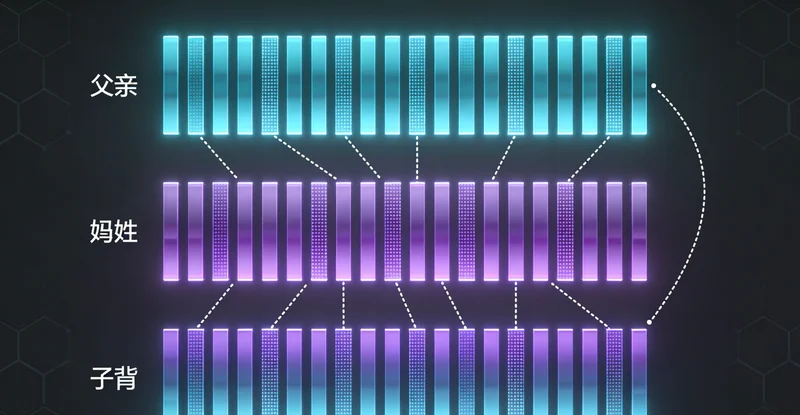 六安某医院内,医生正在查看胸腔