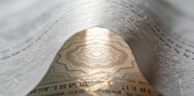 EB病毒高风险人群特征信息图