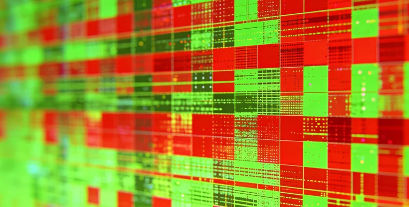 各种病原体在显微镜下的形态