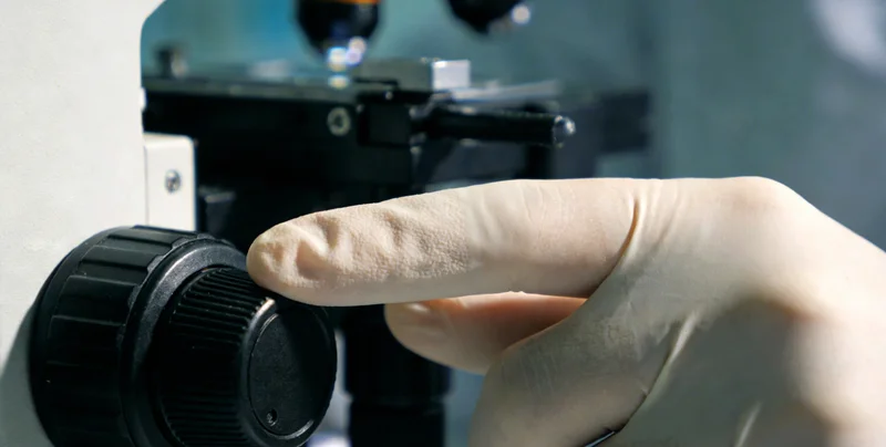 荆州城市景观与医疗需求示意图