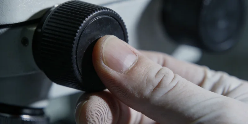 电脑屏幕上显示的绚丽多彩的肠道