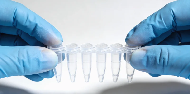 遗传咨询师正在向客户详细解读基因检测报告