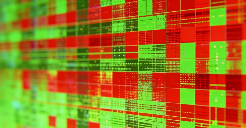 医生正在向咨询者解释检测报告