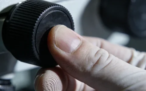 昆明血流感染mNGS基因检测去哪里检测