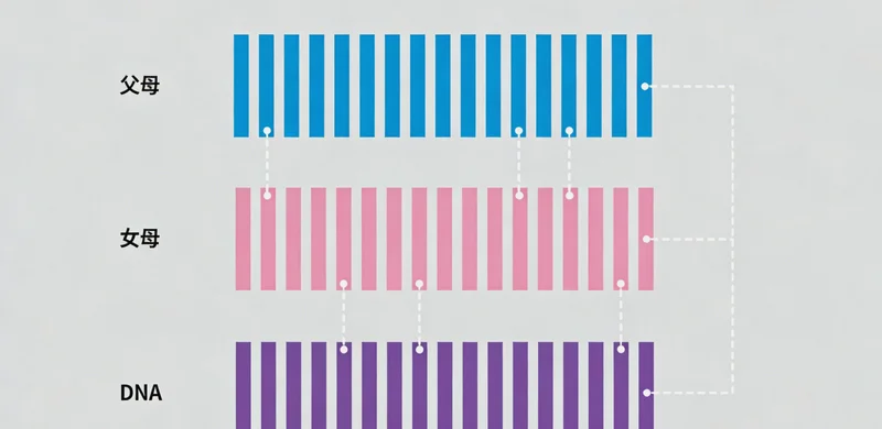 丽江患者在医院向医生咨询病情