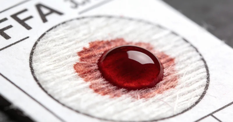 专业实验室样本处理流程