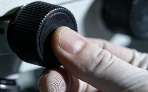 营口淋巴瘤基因检测什么地方做2026年5家可靠机构与地址