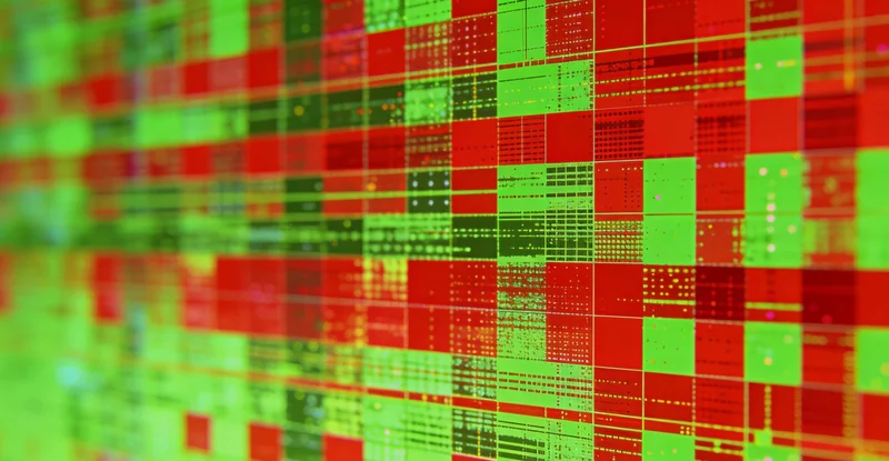 桂林孩子在草地上玩耍的场景