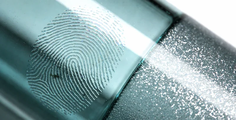 显微镜视野下显示的多种细菌、真