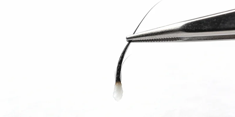 病原体检测示意图