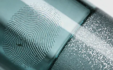 沈阳宫颈癌基因检测公司