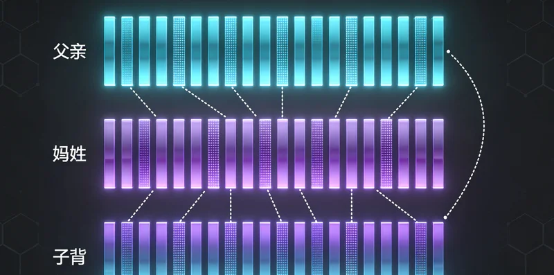 显示不同类型检测机构特点的对比