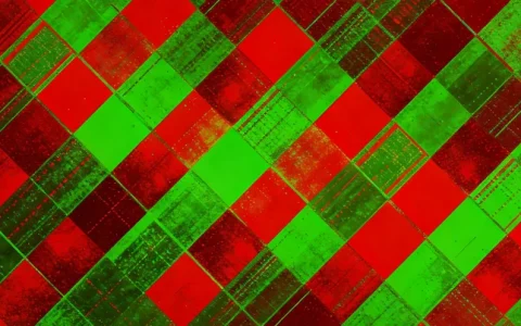 内江HPV基因检测检测去哪做？最新正规机构名单与避坑指南