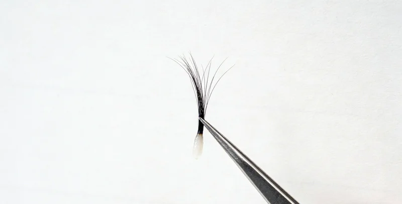 不同检测机构特点对比示意图