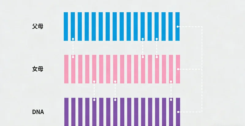 象征健康生活的元素组合,如运动