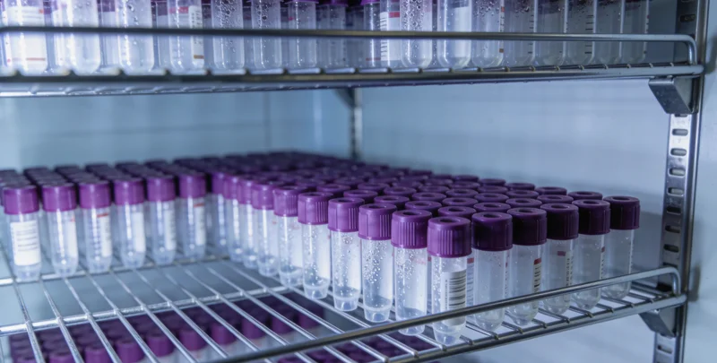 专业遗传咨询师与咨询者沟通