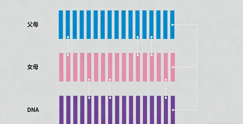 潮湿的渔业工作环境与医院重症监