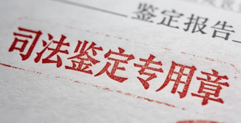 医生在办公室内向咨询者详细解读