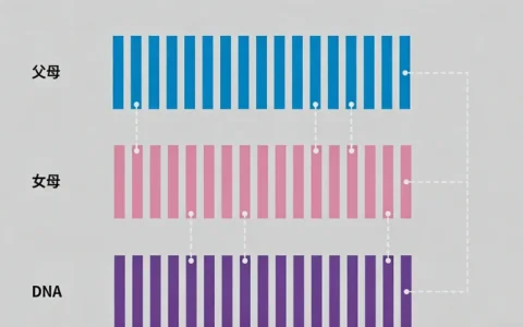 武汉宏基因组测序基因检测哪家公司好