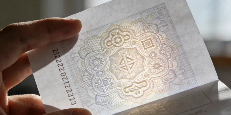 一只色彩鲜艳的鹦鹉站在笼中,提