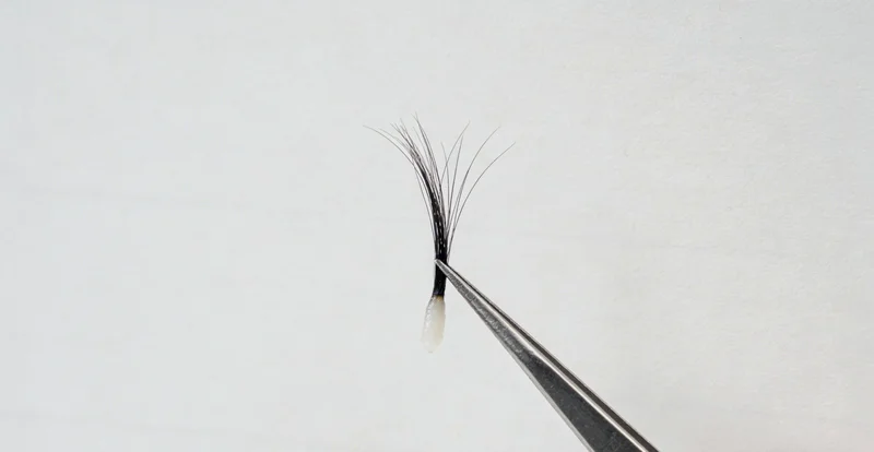 一个家庭在查看健康资料,表情安