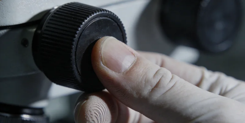 电脑屏幕上显示复杂的生物信息数