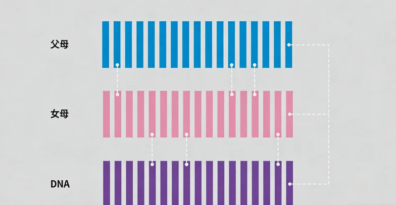 象征早期筛查的放大镜与健康报告