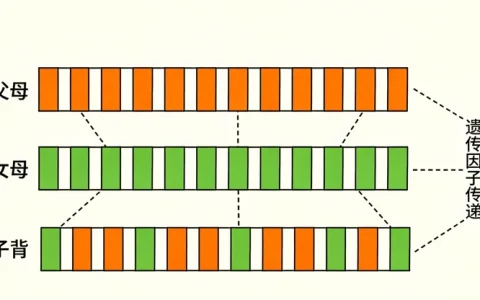 汉中脑胶质瘤基因检测哪个机构好
